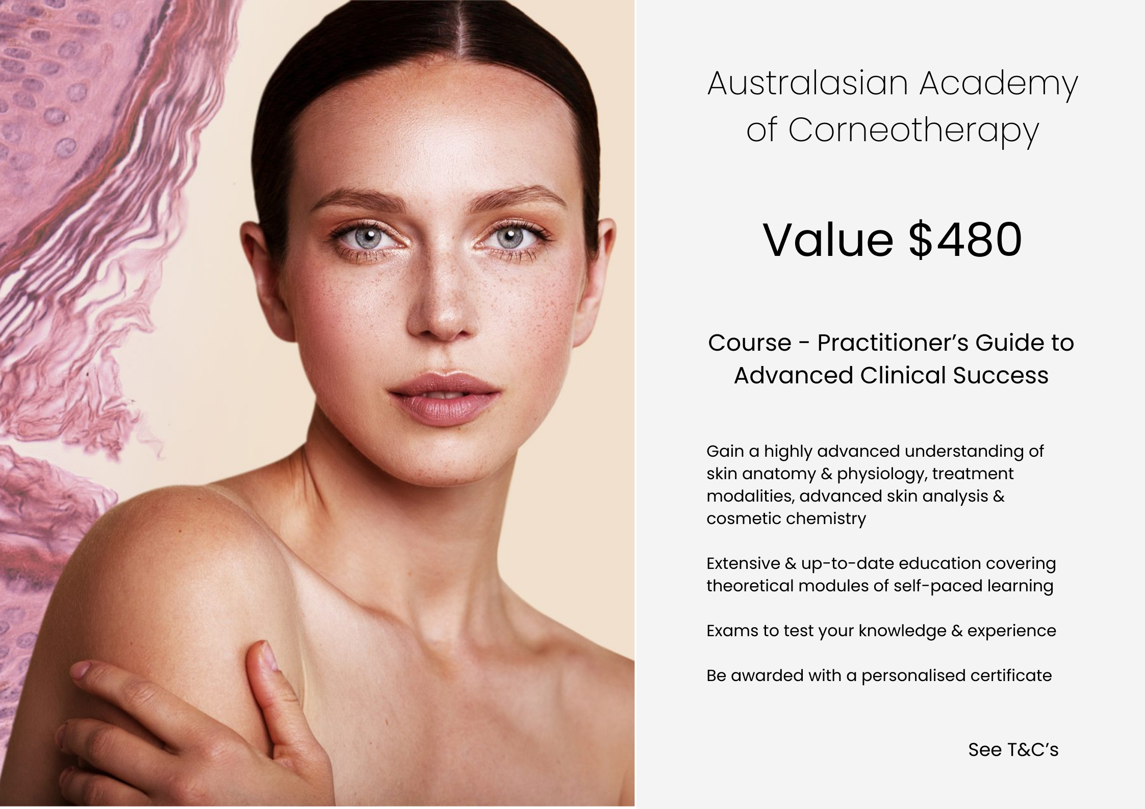 Practitioner's Guide to Advanced Clinical Success course