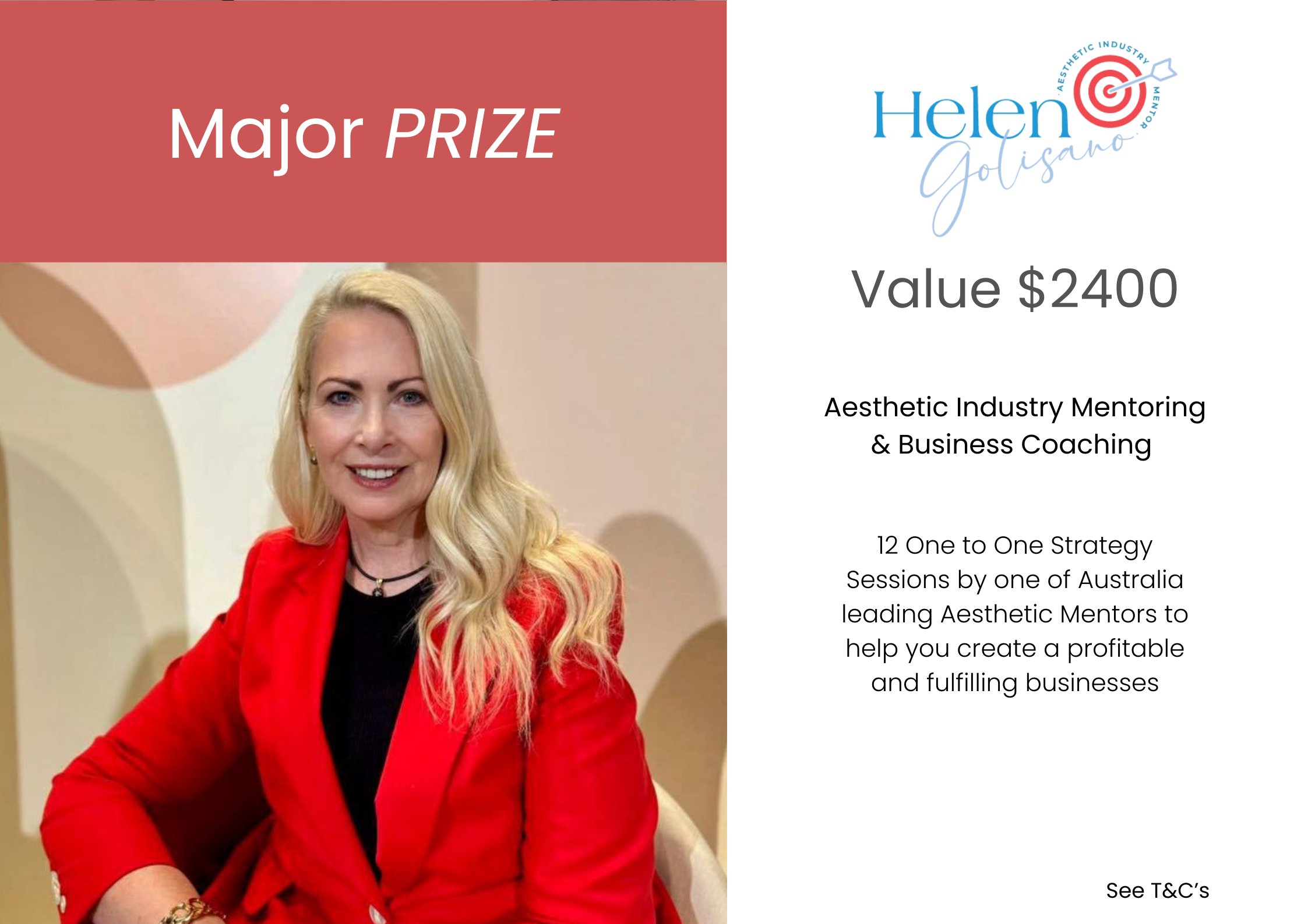 Aesthetic industry mentoring, twelve sessions